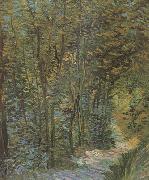 Vincent Van Gogh Path in the Woods (nn04) USA oil painting reproduction